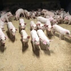 289378579_4923913791071566_7989615762491563888_n