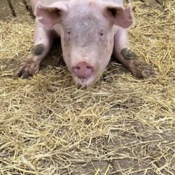 471873067_8551606021635640_8014260778761568780_n