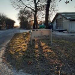 275568605_4624276497701965_6687447044750874133_n