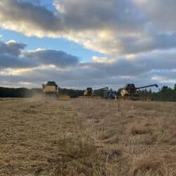 295028393_479574994168063_4898402297266212302_n