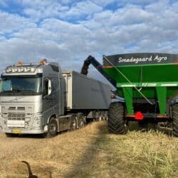 297834550_486692550122974_4853865166022738045_n