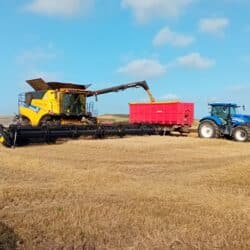 374685131_795110162614543_5562440730631564843_n