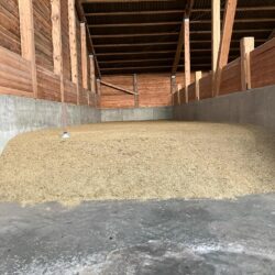 468220205_18001168094696551_5049573686779685631_n